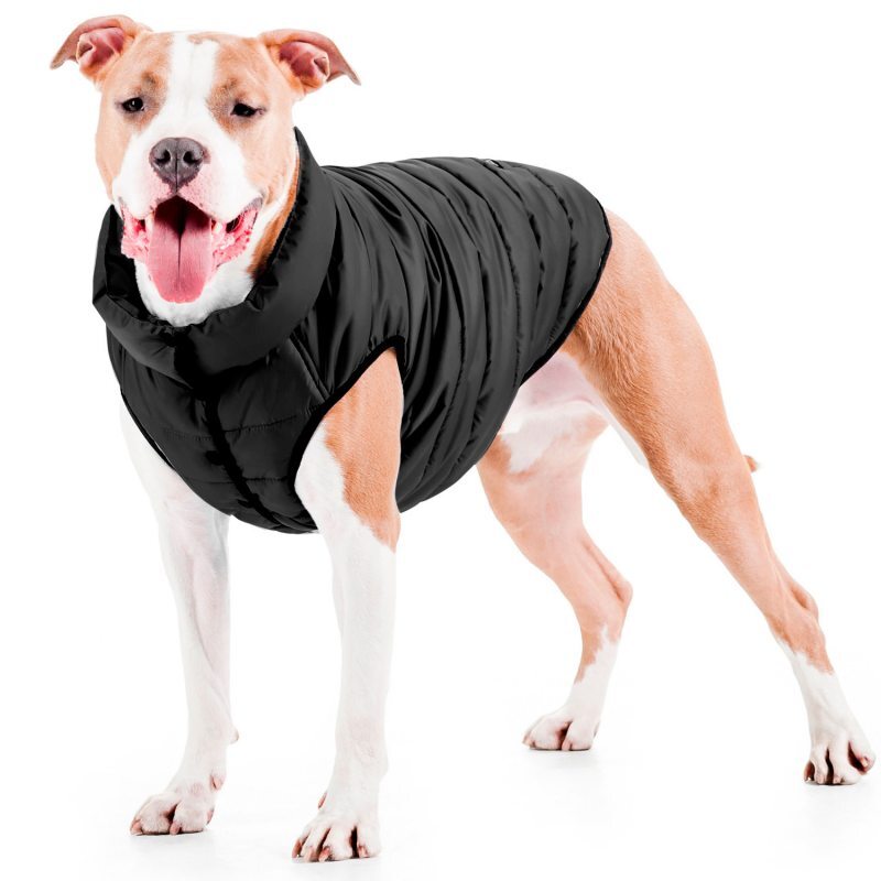 Collar (Коллар) AiryVest ONE - Односторонняя курточка для собак (черная) (XS25 (22-25 см)) в E-ZOO