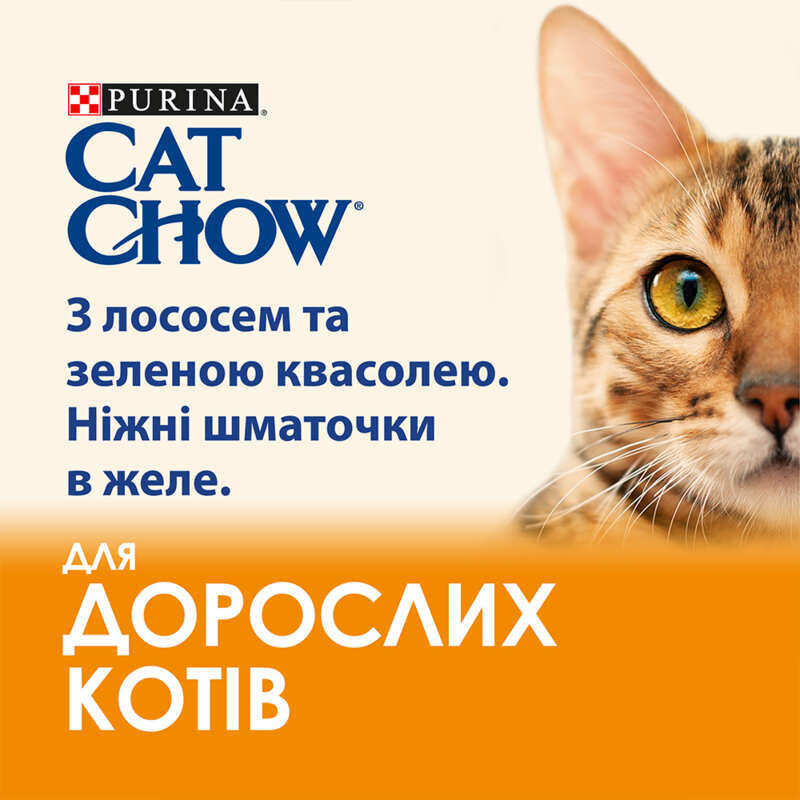 Cat Chow (Кет Чау) Adult Cat - Вологий корм з лососем і зеленою квасолею для дорослих котів (шматочки в желе) (85 г) в E-ZOO