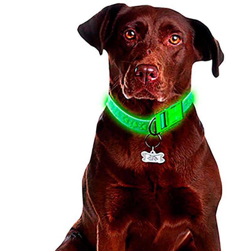 Davis (Дэвис) FurEver Brite Safety Collar - Светящийся силиконовый ошейник для собак (61 см) в E-ZOO