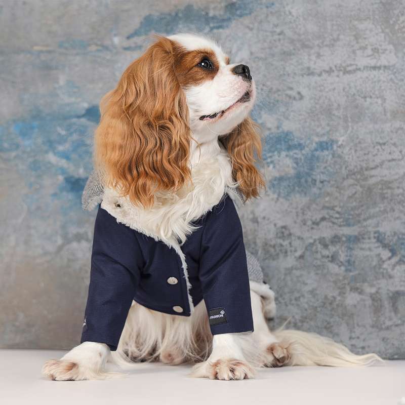 Pet Fashion (Пет Фешн) The Mood Sirius - Жакет для собак (темно-синій) (M (33-36 см)) в E-ZOO