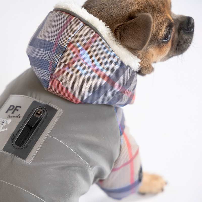 Pet Fashion (Пет Фешн) The Mood Fun - Костюм для собак (серый) (S (27-30 см)) в E-ZOO