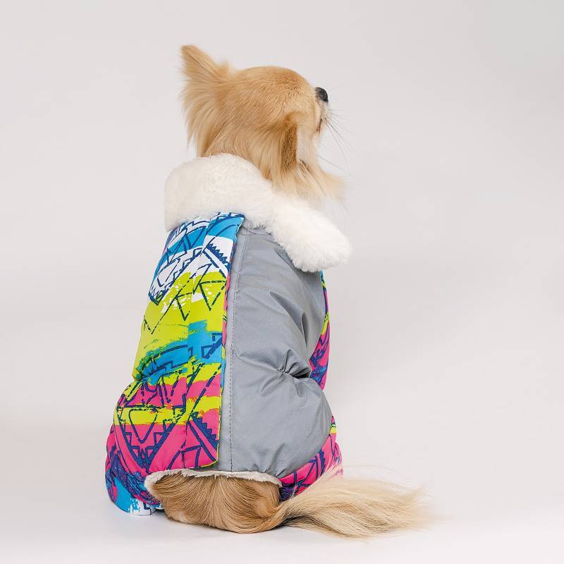 Pet Fashion (Пет Фешн) The Mood Amaze - Комбинезон для собак (градиент с принтом) (XS (23-26 см)) в E-ZOO
