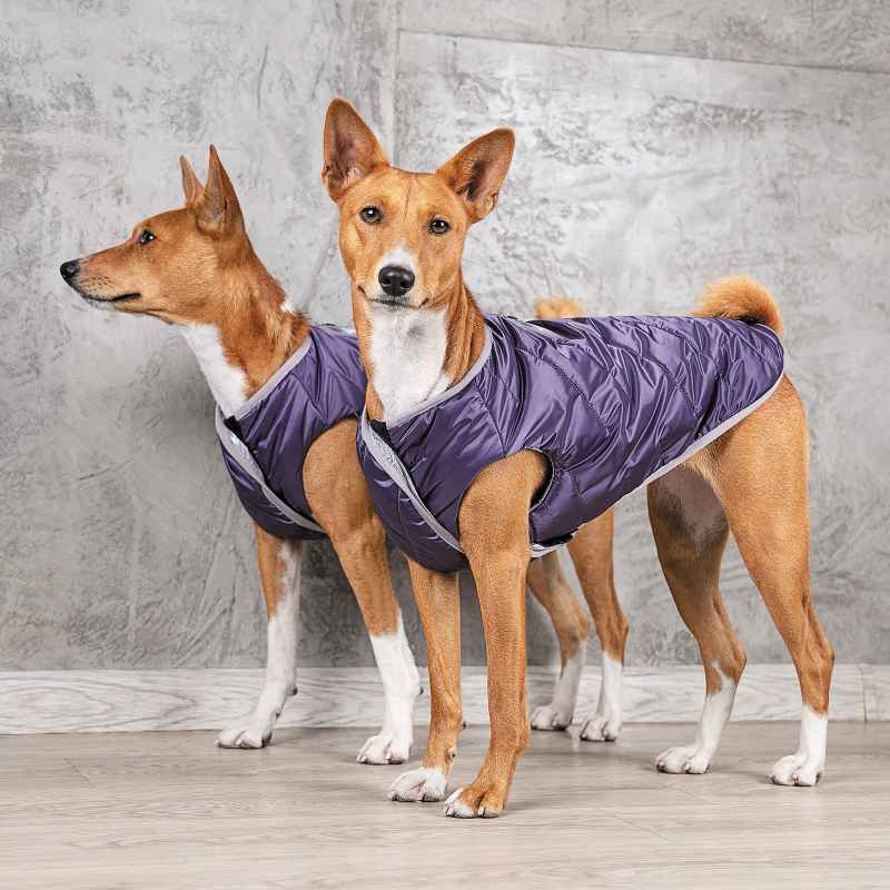 Pet Fashion (Пет Фешн) The Mood Calm - Жилет для собак (фіолетовий) (S (27-30 см)) в E-ZOO