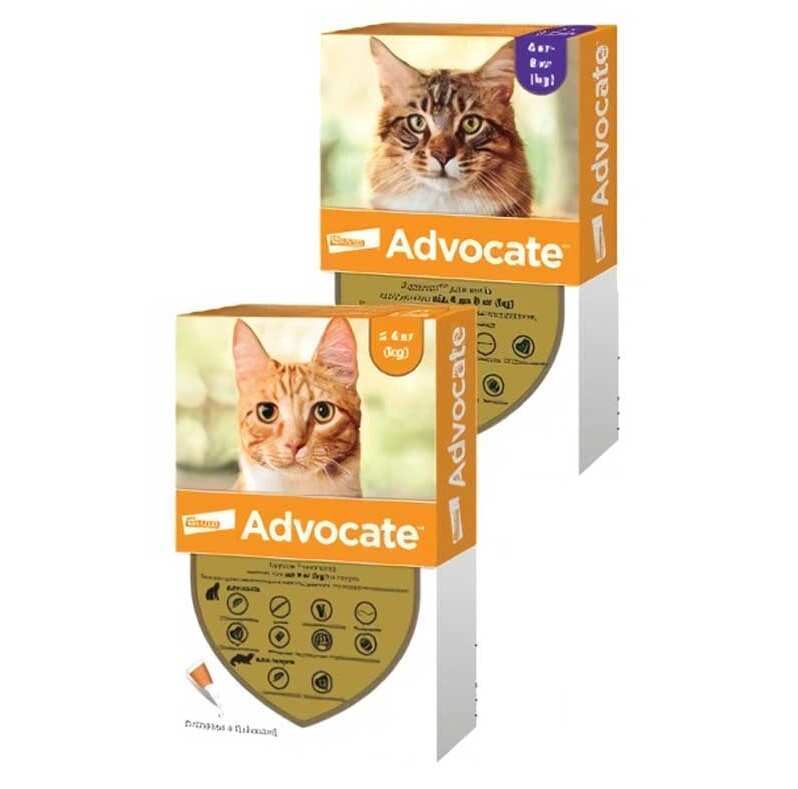 Advocate (Адвокат) by Elanco Animal - Протипаразитарні краплі для котів та тхорів від бліх, вошей, кліщів, гельмінтів (1 піпетка) (до 4 кг) в E-ZOO