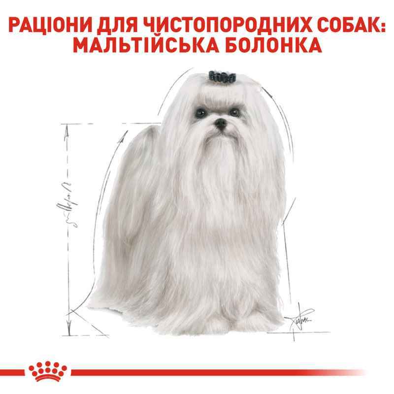 Royal Canin (Роял Канін) Maltese 24 - Сухий корм для породи Мальтійська Болонка (Мальтезе) (500 г) в E-ZOO