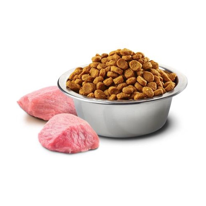 Farmina (Фарміна) N&D Pumpkin GF Lamb & Blueberry Puppy Medium & Maxi – Беззерновой сухий корм з ягням, гарбузом та чорницею для цуценят середніх і великих порід (2,5 кг) в E-ZOO