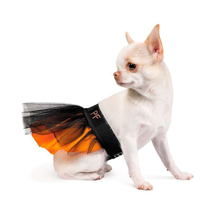 Pet Fashion (Пет Фешн) Shost – Юбка для собак (XS (23-26 см)) в E-ZOO