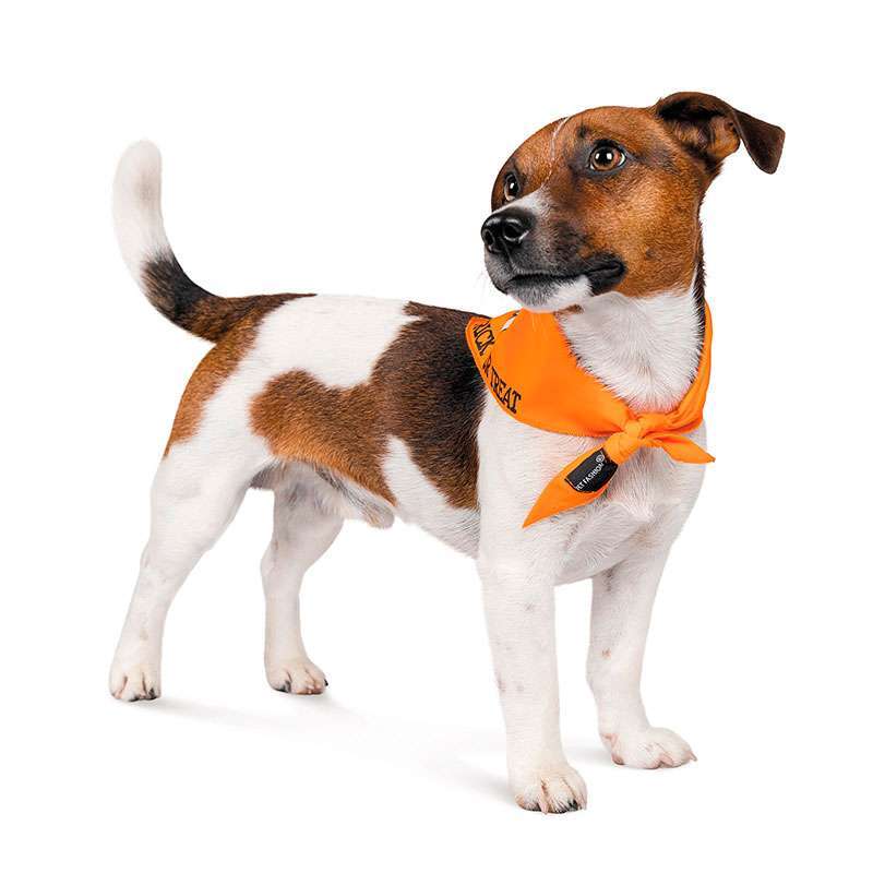 Pet Fashion (Пет Фешн) Trick or Treat Casper – Бандана с принтом Каспера для собак (оранжвая) (XS-S) в E-ZOO