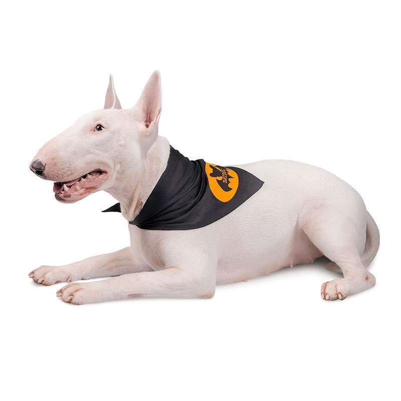 Pet Fashion (Пет Фешн) BatDog – Бандана з принтом Летюча миша для собак (чорна) (XS-S) в E-ZOO