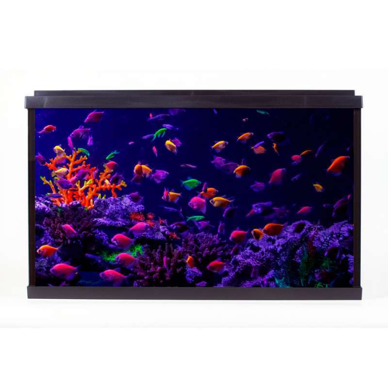 Resun (Ресан) WPG 40 GloFish (40 л) – Акваріум з комплектом устаткування (40 л) в E-ZOO