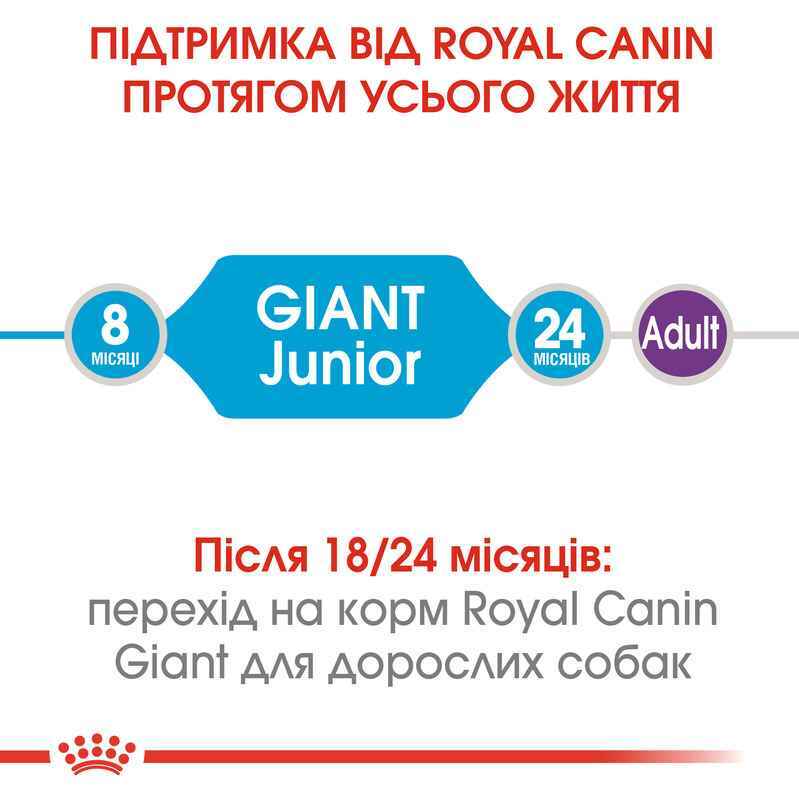 Royal Canin (Роял Канин) Giant Junior - Сухой корм для щенков от 8 до 18/24 месяцев - Фото 9