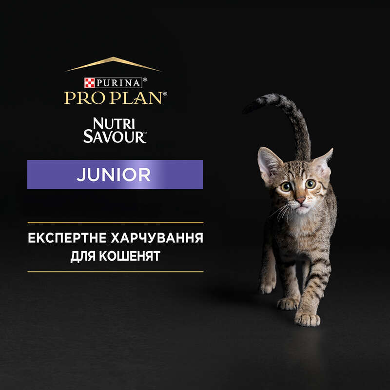 Purina Pro Plan (Пуріна Про План) Junior Nutrisavour Mousse Turkey - Вологий корм з індичкою для молодих котів (шматочки в паштеті) (26х85 г (box)) в E-ZOO