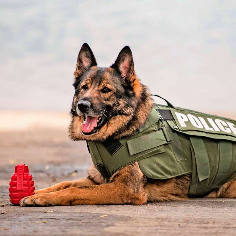 SodaPup (Сода Пап) USA-K9 Grenade – Іграшка-диспенсер для ласощів Граната із суперміцного матеріалу для собак (L) в E-ZOO