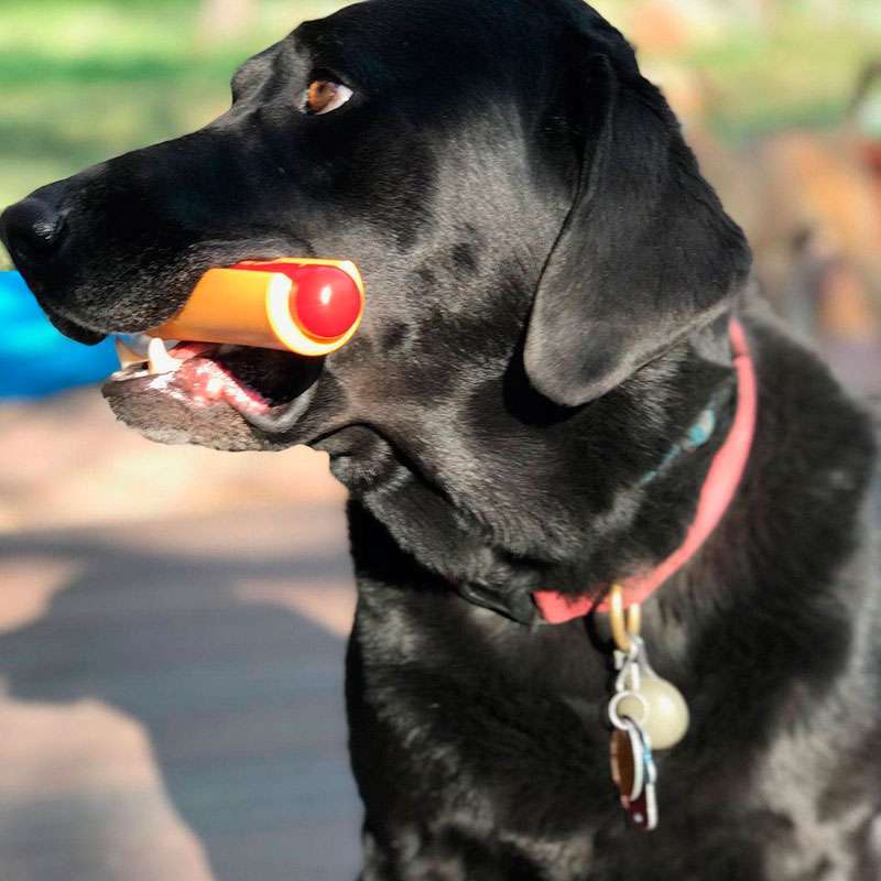 SodaPup (Сода Пап) Nylon Hot Dog Chew Toy – Игрушка жевательная Хот-дог из суперпрочного материала для собак (15х3 см) в E-ZOO