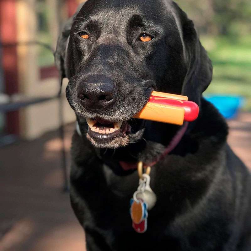 SodaPup (Сода Пап) Nylon Hot Dog Chew Toy – Игрушка жевательная Хот-дог из суперпрочного материала для собак (15х3 см) в E-ZOO
