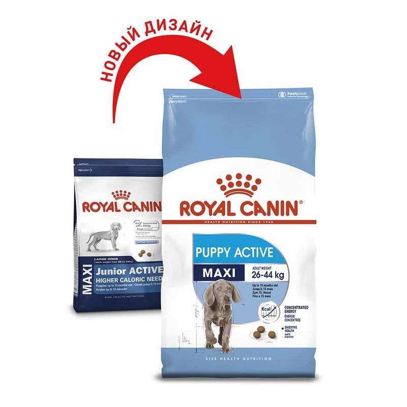 Royal Canin (Роял Канін) Maxi Puppy Active - Сухий корм для активних цуценят великих порід (15 кг) в E-ZOO