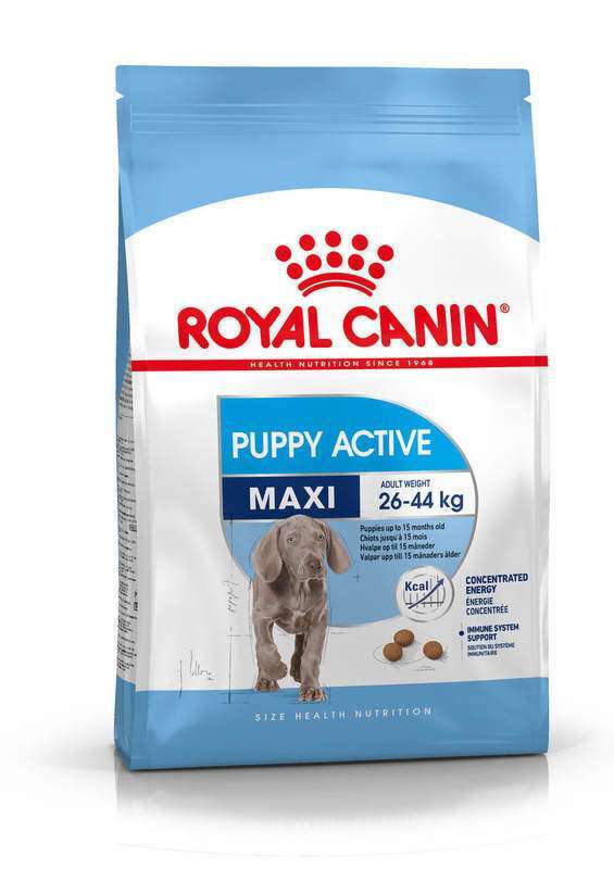 Royal Canin (Роял Канин) Maxi Puppy Active - Сухой корм для активных щенков крупных пород (15 кг) в E-ZOO