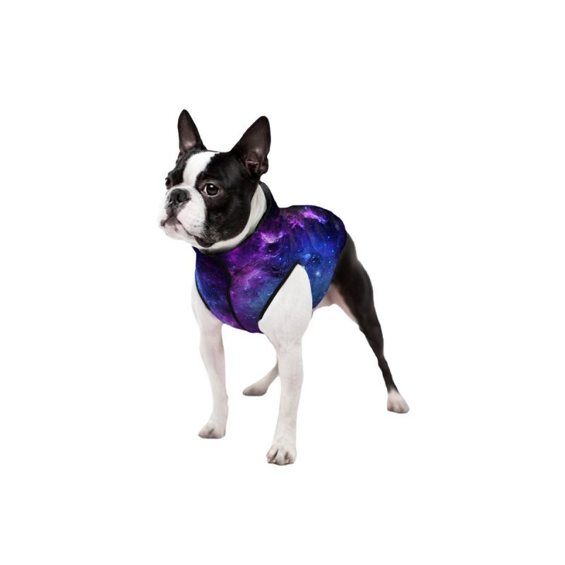 Collar (Коллар) WAUDOG Clothes - Курточка для собак рисунок "NASA21" (S40 (38-40 см)) в E-ZOO