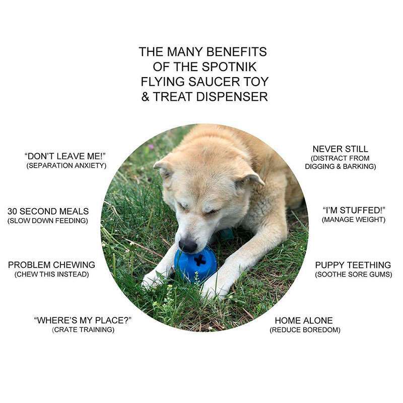 SodaPup (Сода Пап) Spotnik Flying Saucer Treat Dispenser – Жувальна іграшка-диспенсер Супутник для ласощів з суперміцного матеріалу для собак (L) в E-ZOO