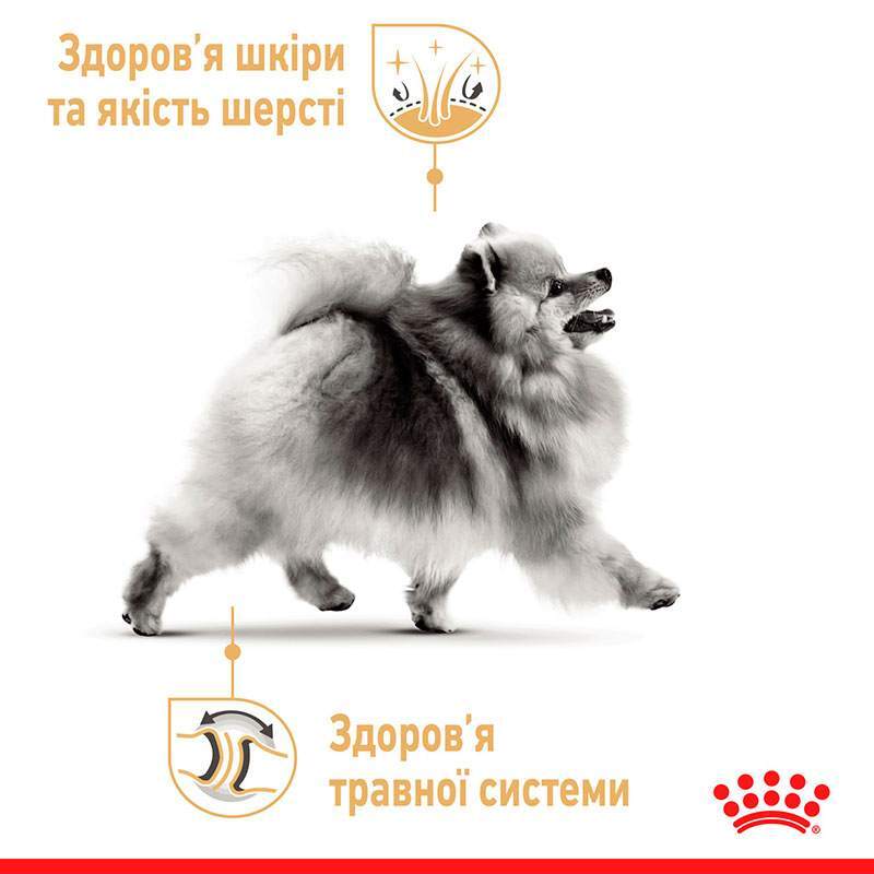 Royal Canin (Роял Канин) Pomeranian Adult – Сухой корм с птицей для взрослых собак породы Померанский шпиц (500 г) в E-ZOO