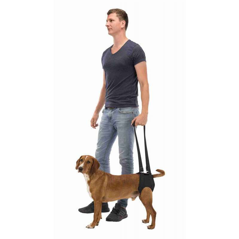 Trixie (Трикси) Walking Aid - Поддерживающая шлея для задних лап собак (L/65-75 см) в E-ZOO