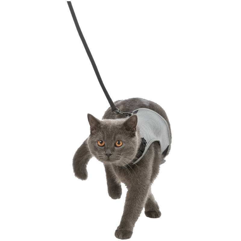 Trixie (Тріксі) Soft Harness with Leash - Шлейка м'яка світловідбивна з повідцем для котів (24-42 см) в E-ZOO