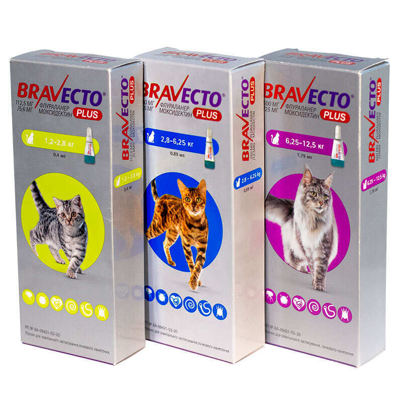 Bravecto Plus (Бравекто Плюс) Противопаразитарные капли на холку от блох, клещей и глистов для котов (1,2-2,8 кг) в E-ZOO