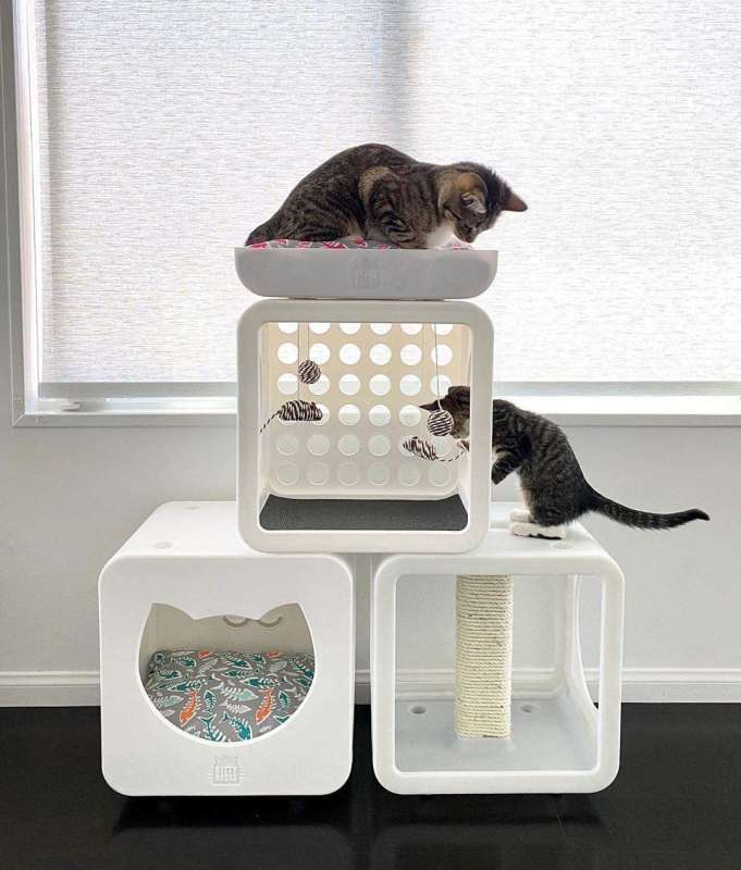 Jolly Pets (Джолли Пэтс) Kitty Kasas Recreation – Кубик для отдыха котов (39х30х42 см) в E-ZOO