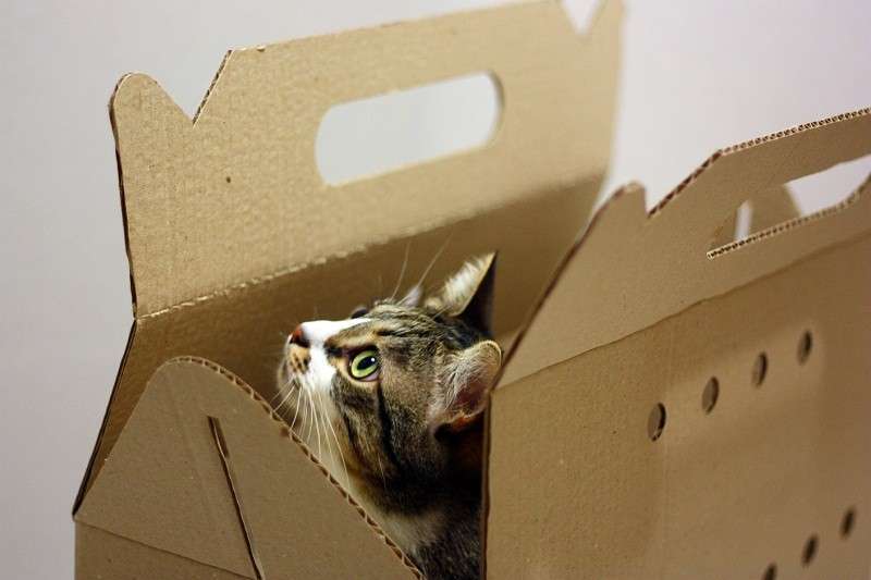 КОТОФАБРИКА TRAVELBOX - Переноска для котов, картонная (50×25×30 см) в E-ZOO