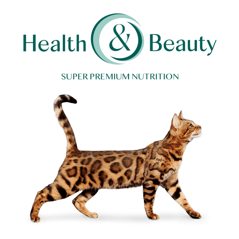 OptiMeal (ОптіМіл) Turkey Sterilized Cat – Сухий корм з індичкою та вівсом для стерилізованих котів (4 кг) в E-ZOO