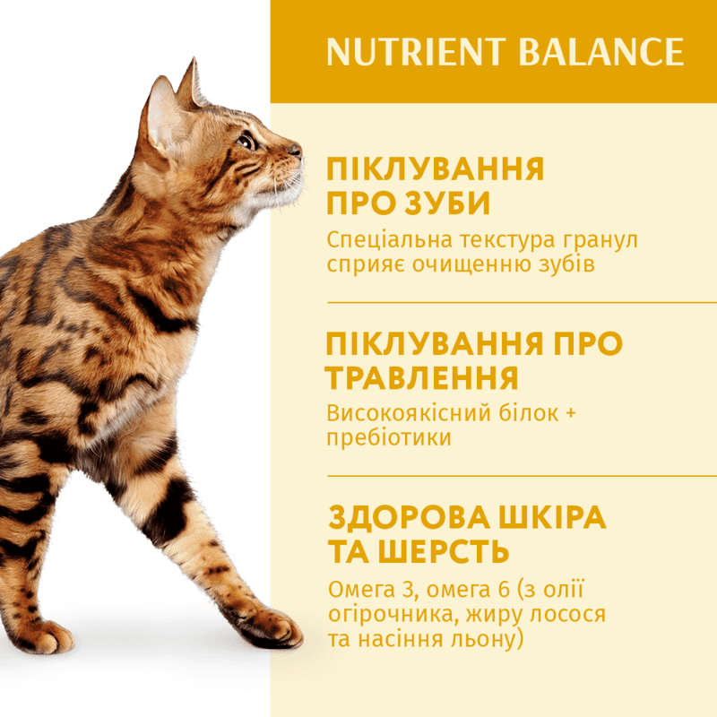 OptiMeal (ОптіМіл) Chicken Nutrient Balance Cat – Сухий корм із куркою для дорослих котів (1,5 кг) в E-ZOO