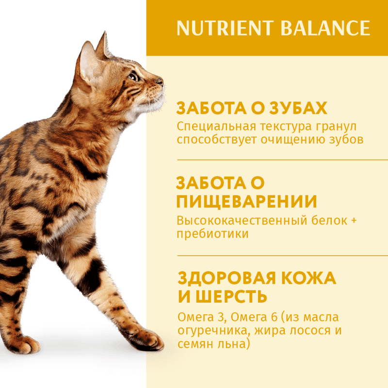 OptiMeal (ОптиМил) Chicken Nutrient Balance Cat – Сухой корм с курицей для взрослых котов (1,5 кг) в E-ZOO