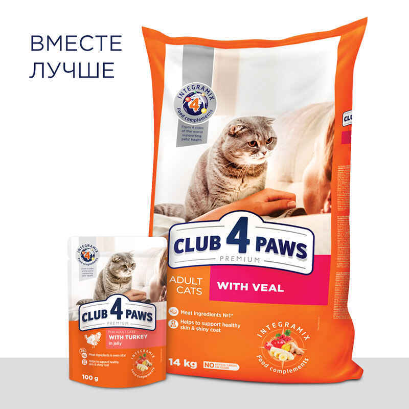 Club 4 Paws (Клуб 4 Лапы) Premium Adult Cat Turkey in Jelly - Влажный корм с индейкой для взрослых котов (кусочки в желе) (100 г) в E-ZOO