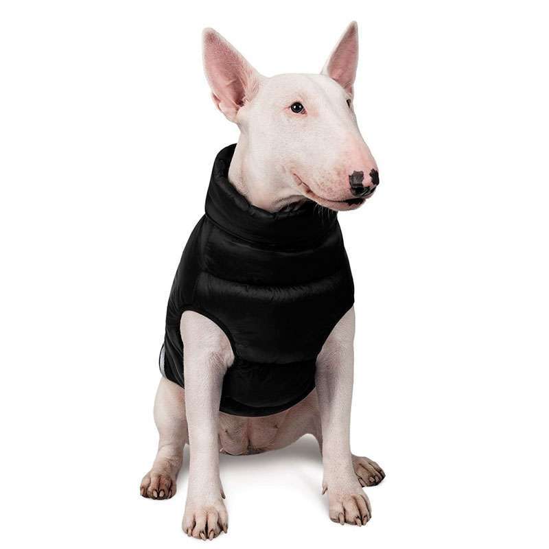 Pet Fashion (Пет Фешн) Big Boss – Жилет для собак зі світловідбивачами (чорний) (2XL (43-46 см)) в E-ZOO