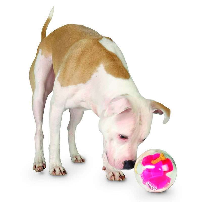 Planet Dog (Планет Дог) Mazee – Игрушка интерактивная Маззи Мяч-лабиринт для собак (12,5 см) в E-ZOO