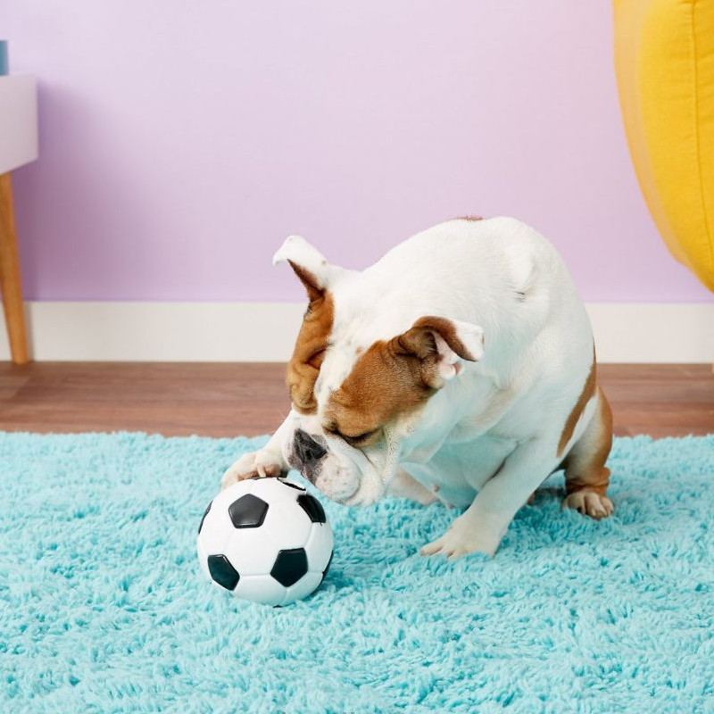Planet Dog (Планет Дог) Soccer Ball – Игрушка суперпрочная Соккер Болл для собак (12,5 см) в E-ZOO
