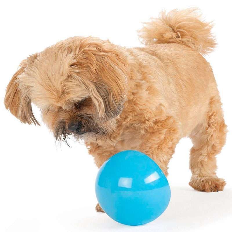 Planet Dog (Планет Дог) Lil Snoop – Іграшка-диспенсер суперміцна Ліл Шпигун для собак дрібнх порід (7,6х10 см) в E-ZOO