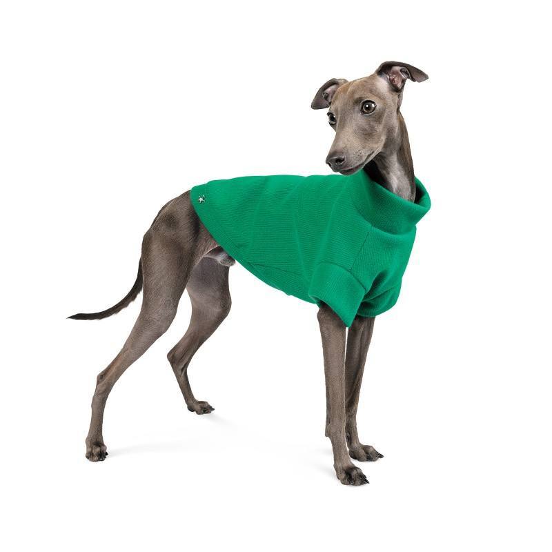 Pet Fashion (Пет Фешн) Green - Свитер для собак (зеленый) (XXS (20-22 см)) в E-ZOO