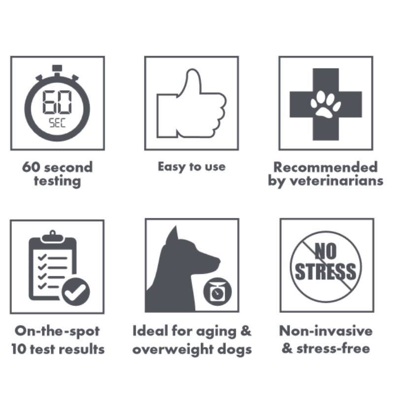 M-Pets (М-Петс) Uritest PRO 10 Pads - Одноразовые пеленки для тестирования расстройства и заболевания мочевыводящих путей у собак (10 тестов) (60х60 см / 10 шт.) в E-ZOO