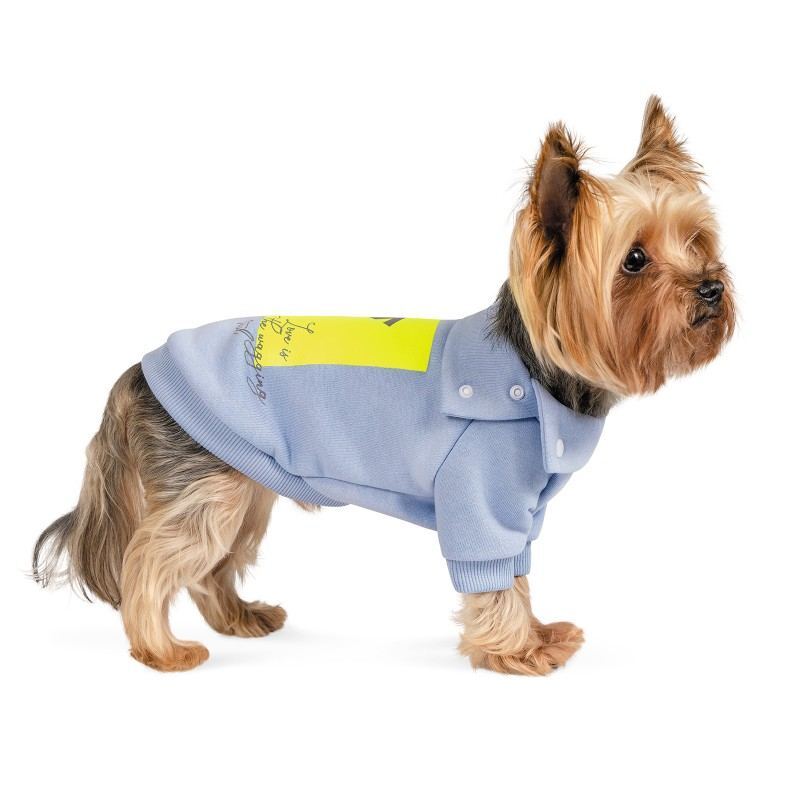 Pet Fashion (Пет Фешн) Light - Толстовка для собак (голубая) (XS (23-25 см)) в E-ZOO