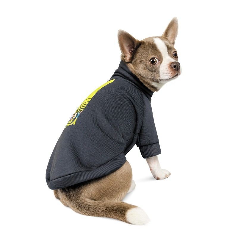 Pet Fashion (Пет Фешн) Сarbon - Толстовка для собак (темно-серая) (XS2 (26-28 см)) в E-ZOO