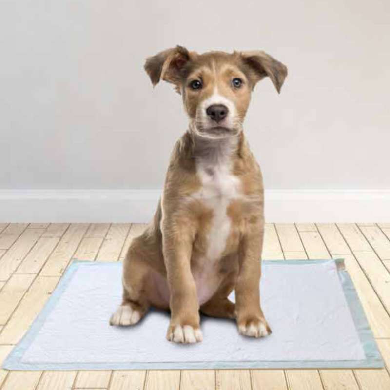 M-Pets (М-Петс) Puppy Training Pads – Пелёнки для приучения щенков к туалету (90х60 см / 50 шт.) в E-ZOO