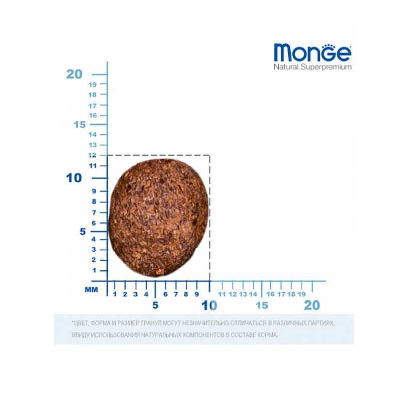 Monge (Монж) BWild Grain Free Duck Adult Mini - Беззерновий корм з качкою для дорослих собак дрібних порід (2,5 кг) в E-ZOO