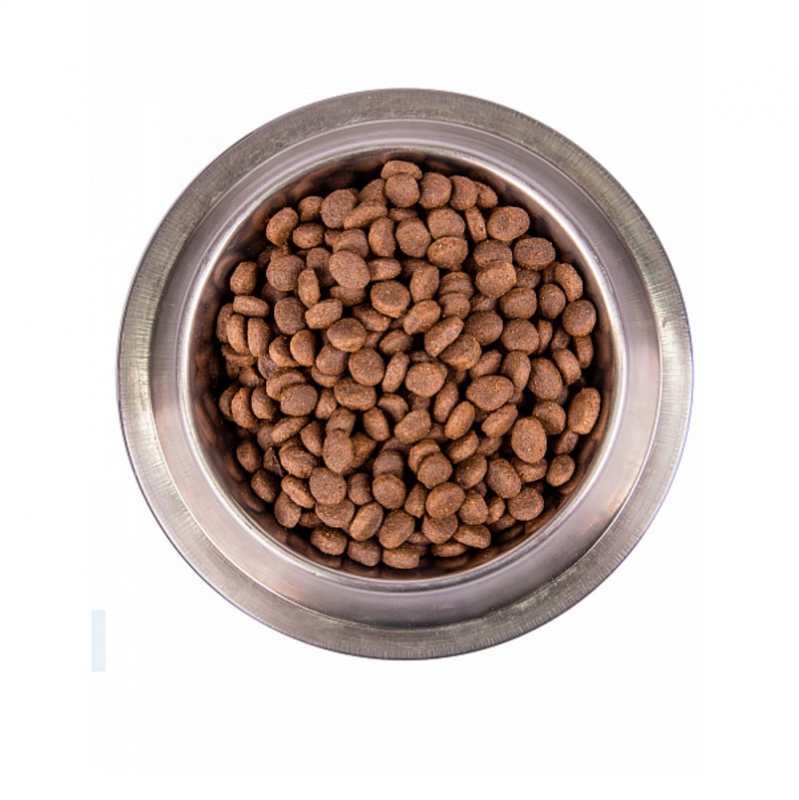 Monge (Монж) BWild Grain Free Anchovies Adult All Breeds - Беззерновий корм з анчоусом для дорослих собак різних порід (2,5 кг) в E-ZOO
