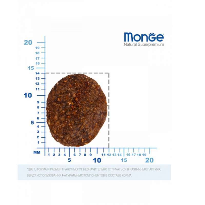 Monge (Монж) BWild Low Grain Goose Adult All Breeds - Низькозерновий сухий корм з м'яса гусака для дорослих собак усіх порід (2,5 кг) в E-ZOO