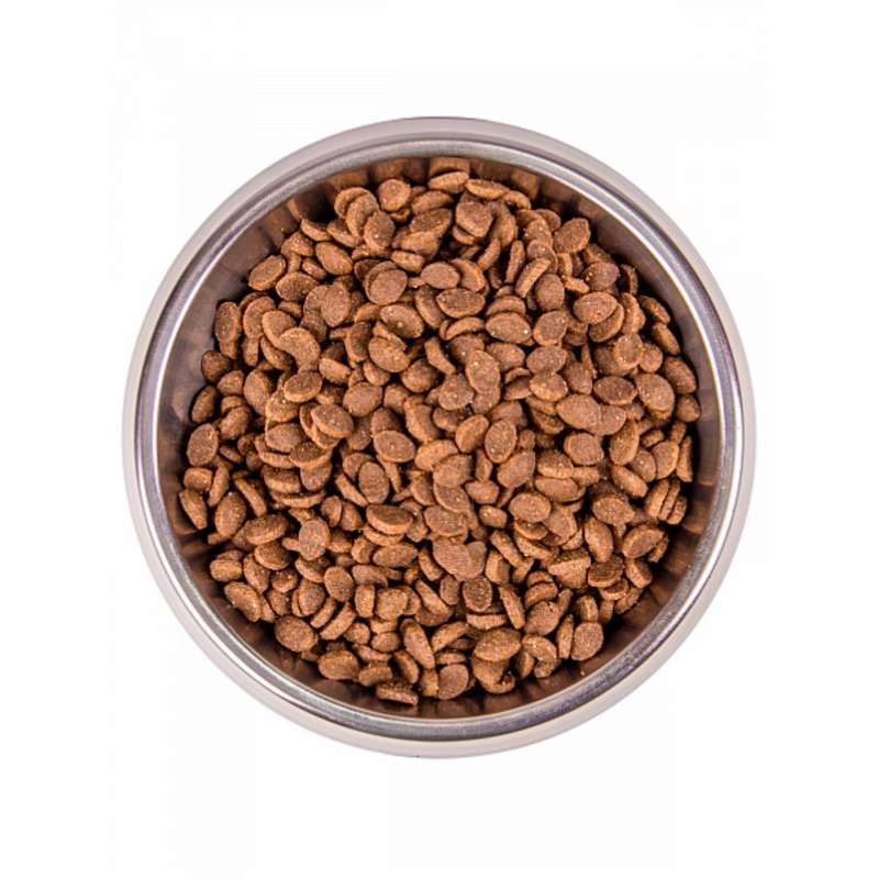 Monge (Монж) BWild Low Grain Anchovies Adult Cat - Сухий низькозерновий корм з анчоусами для дорослих котів (10 кг) в E-ZOO