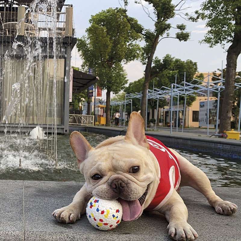 M-Pets (М-Петс) Play Dog Bloom Ball Mixed color – Мяч Блум разноцветный для собак (7 см) в E-ZOO
