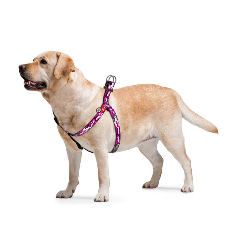 Collar (Коллар) WAUDOG Nylon - Шлея для собак анатомическая с рисунком "Розовый камо" и QR паспортом (1,0х28-40 см) в E-ZOO