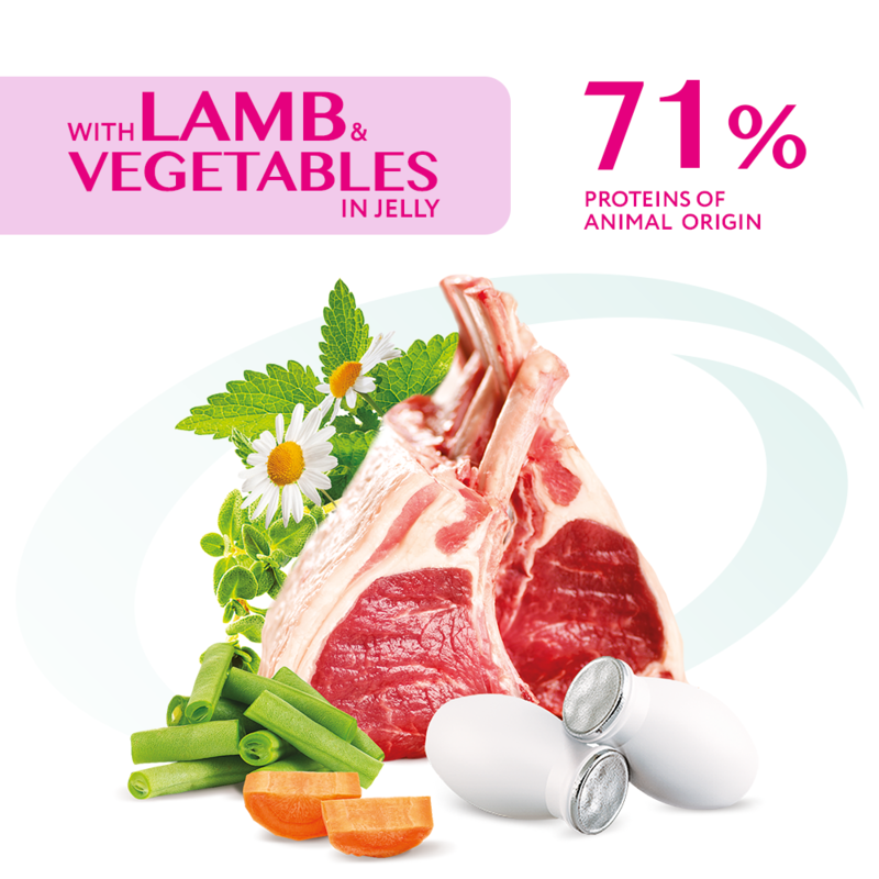 OptiMeal (ОптіМіл) With Lamb&Vegetables in Jelly – Консервований корм з ягням і овочами для котів (шматочки в желе) (85 г) в E-ZOO