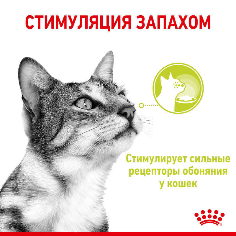 Royal Canin (Роял Канин) Sensory Smell in Gravy – Влажный корм с мясом и рыбой для взрослых кошек, стимулирующий обонятельные рецепторы (кусочки в соусе) (85 г) в E-ZOO
